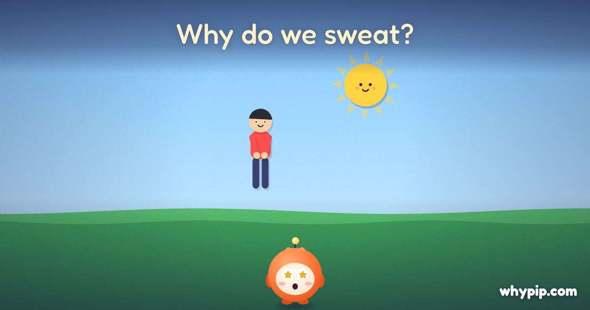 Pip’s picture for “Why do we sweat?”
