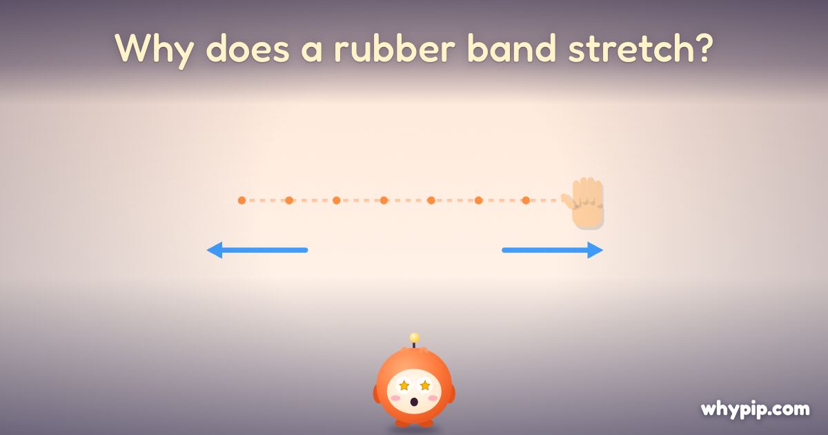 Pip’s picture for “Why does a rubber band stretch?”