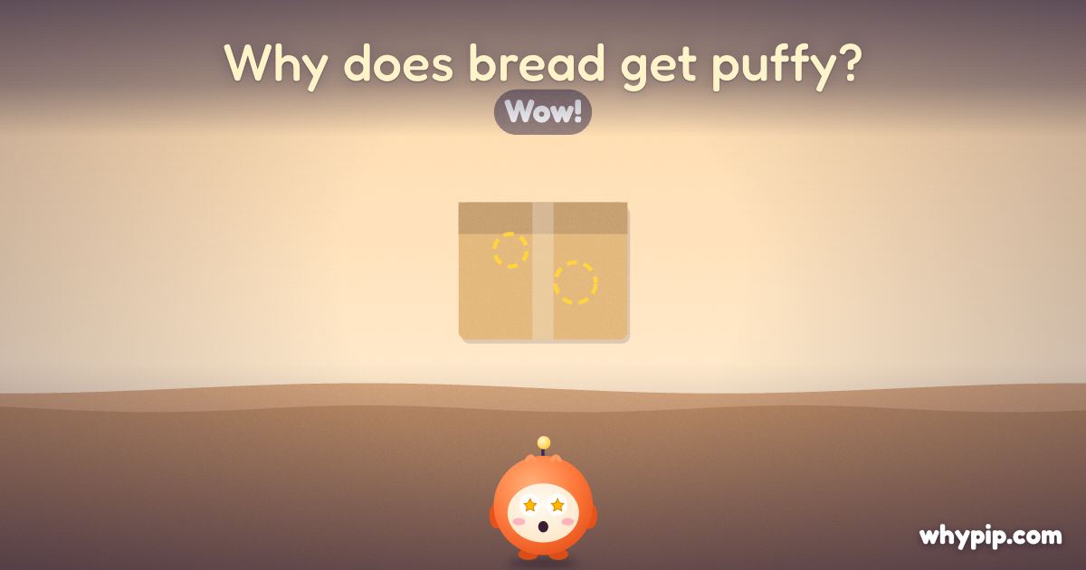 Pip’s picture for “Why does bread get puffy?”
