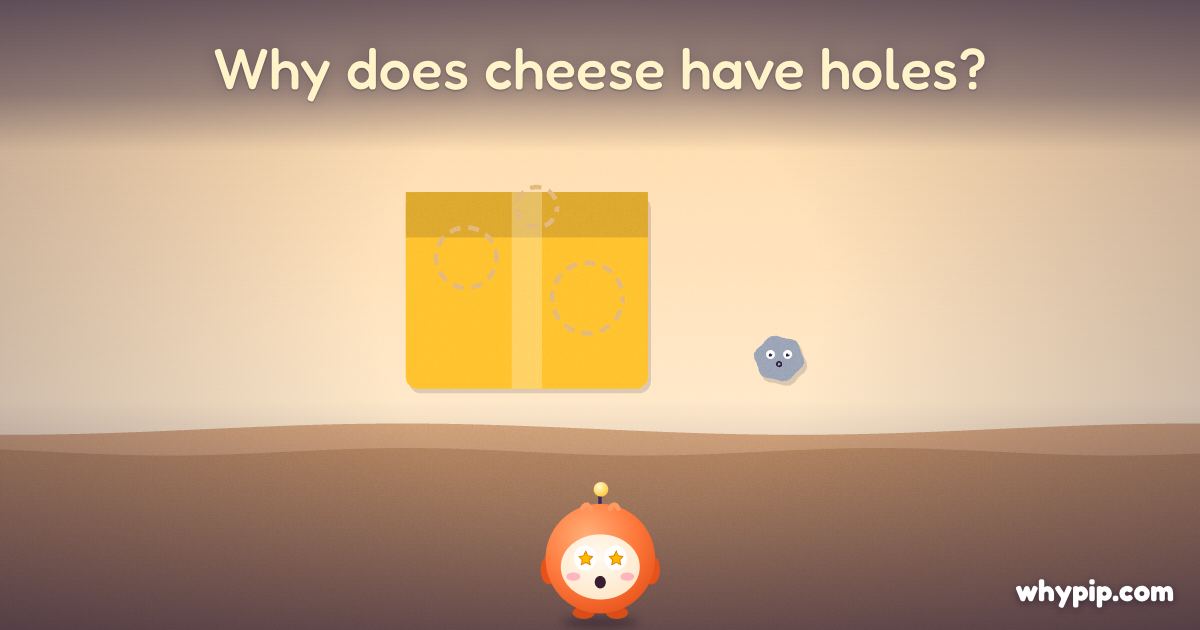 Pip’s picture for “Why does cheese have holes?”