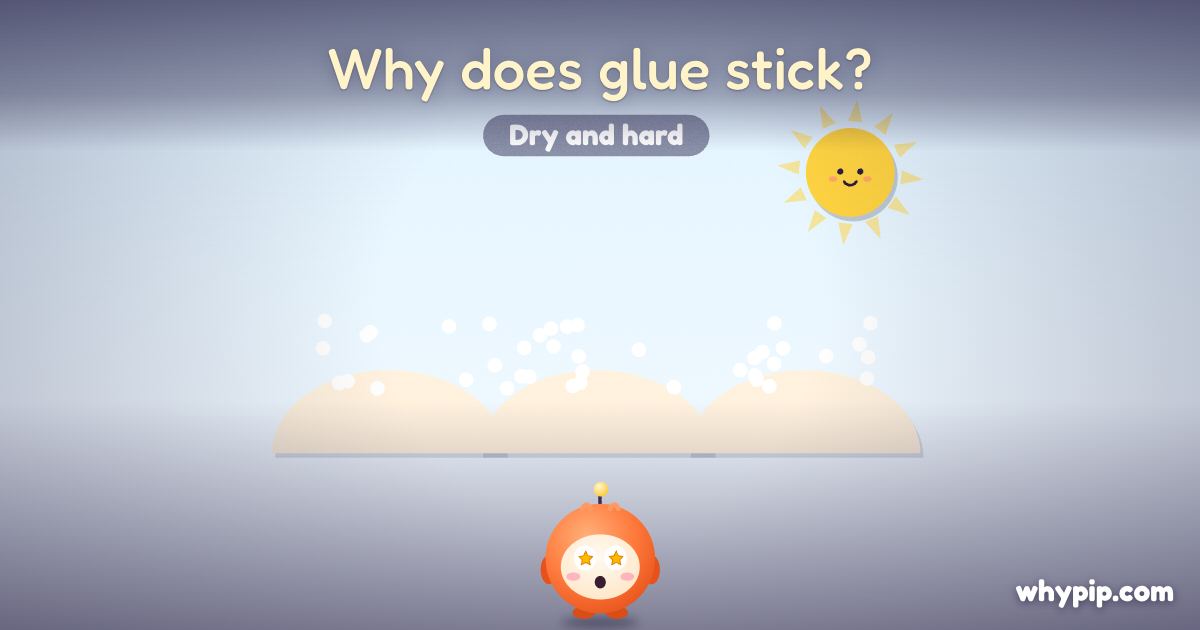 Pip’s picture for “Why does glue stick?”