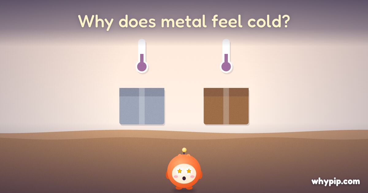 Pip’s picture for “Why does metal feel cold?”