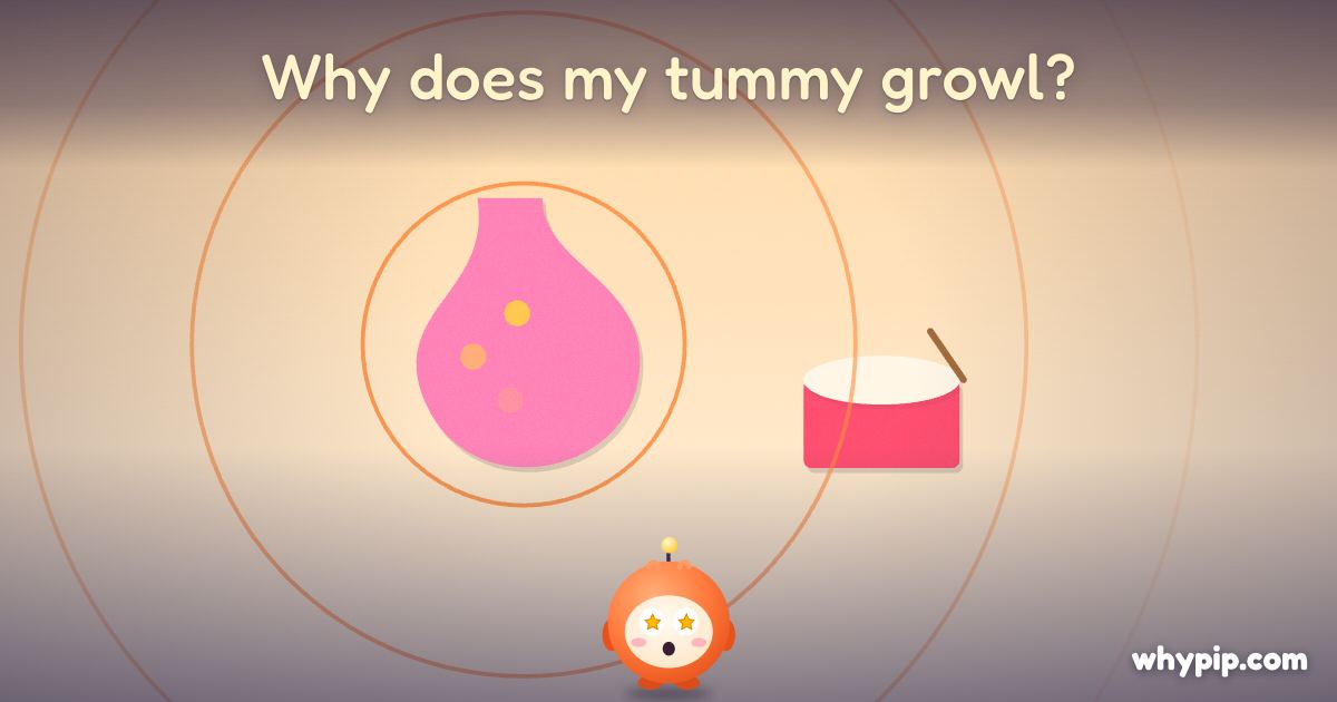 Pip’s picture for “Why does my tummy growl?”