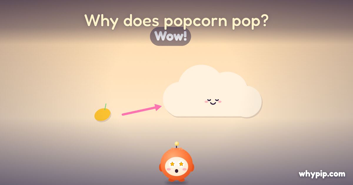 Pip’s picture for “Why does popcorn pop?”