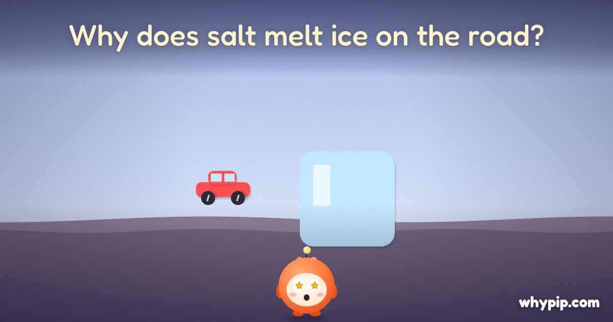 Pip’s picture for “Why does salt melt ice on the road?”
