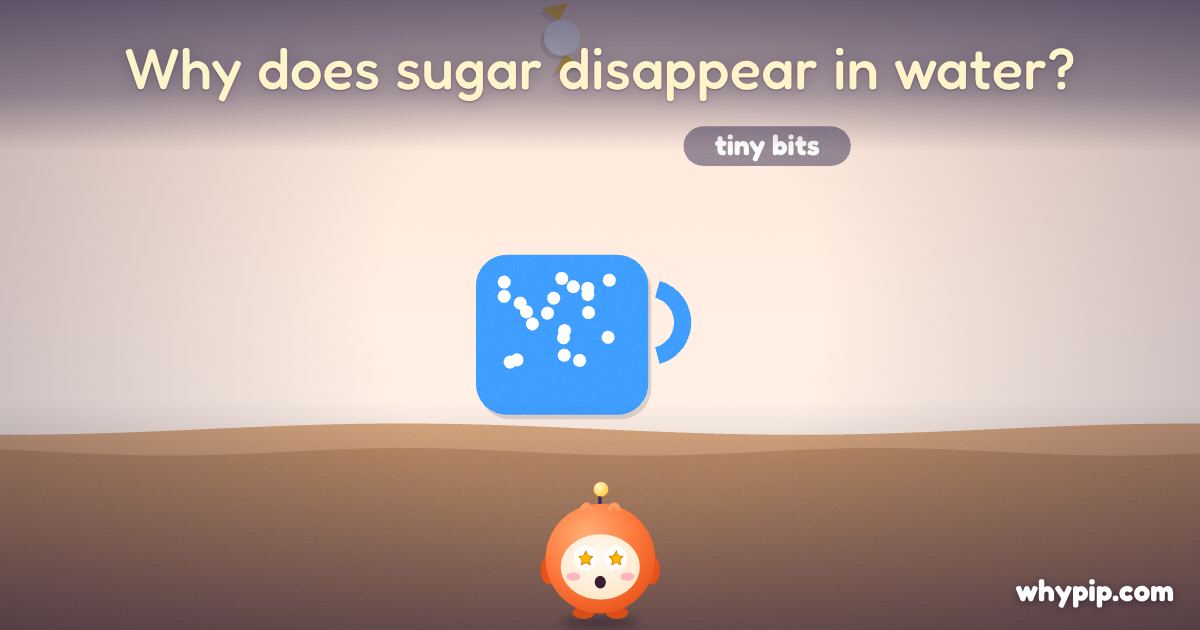 Pip’s picture for “Why does sugar disappear in water?”