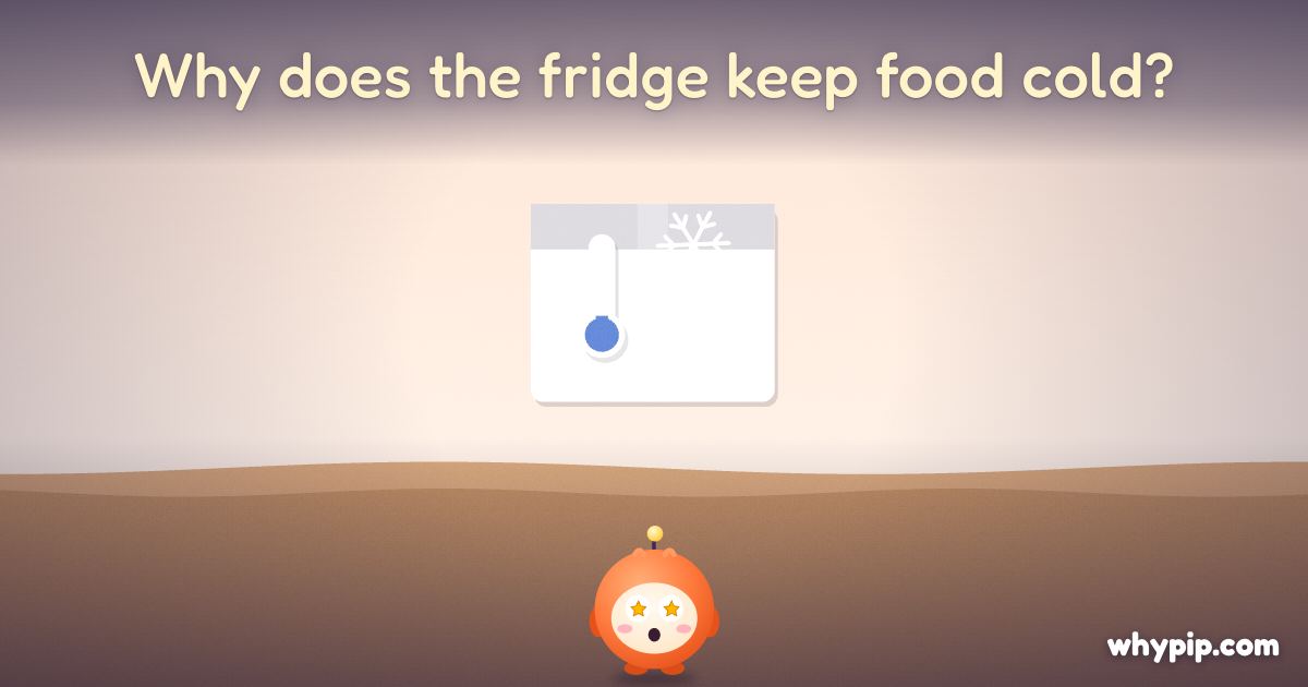 Pip’s picture for “Why does the fridge keep food cold?”