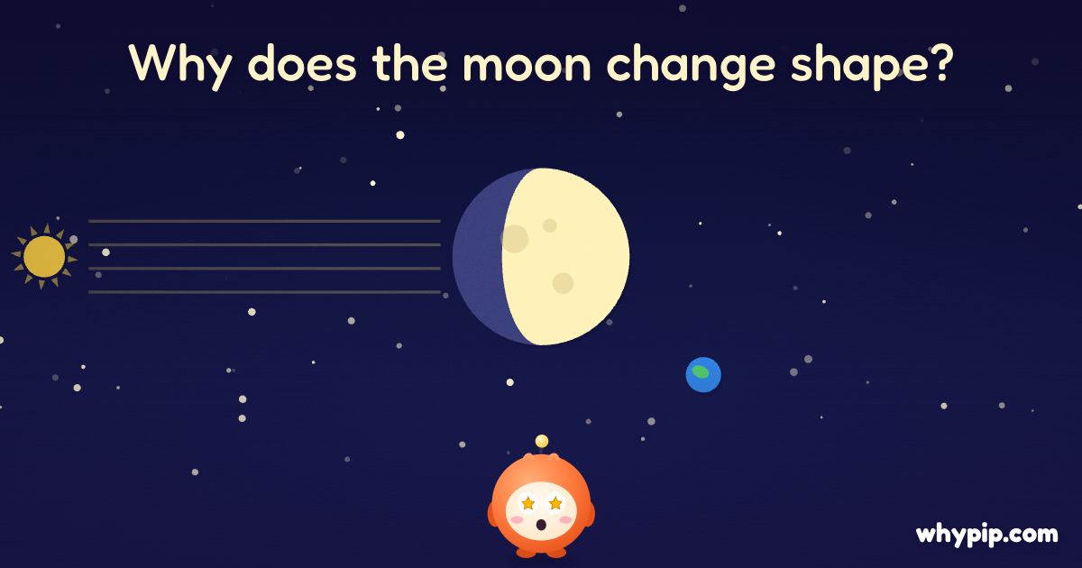 Pip’s picture for “Why does the moon change shape?”