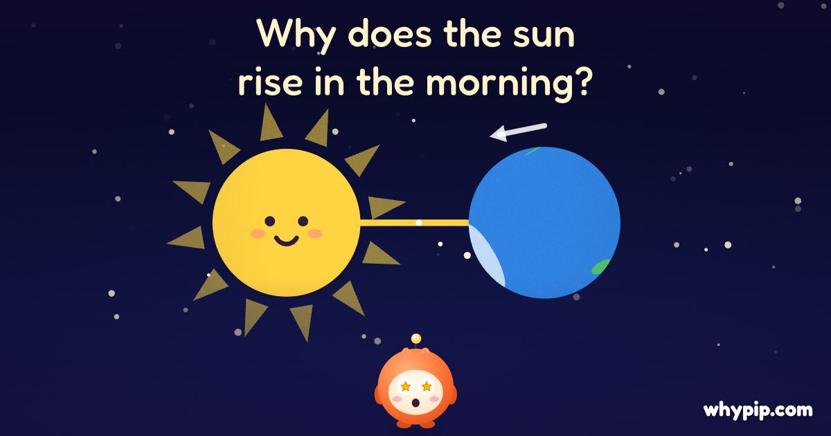 Pip’s picture for “Why does the sun rise in the morning?”