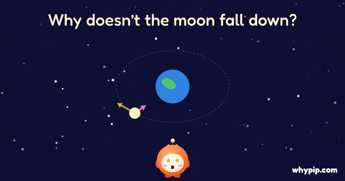 Pip’s picture for “Why doesn’t the moon fall down?”