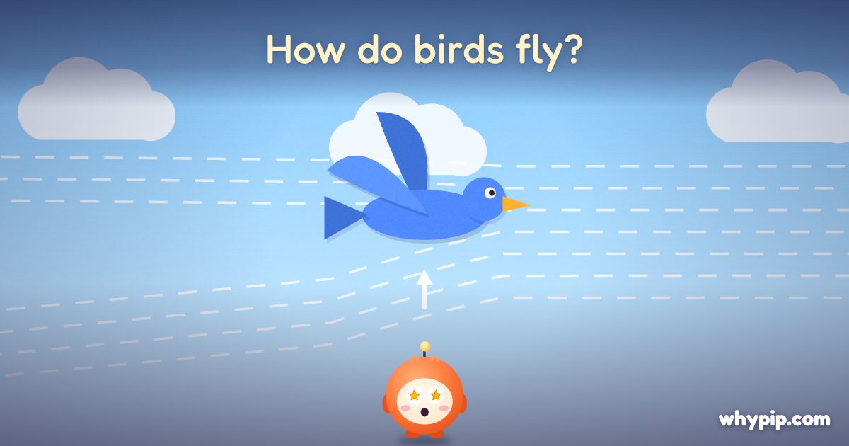 Pip’s picture for “How do birds fly?”
