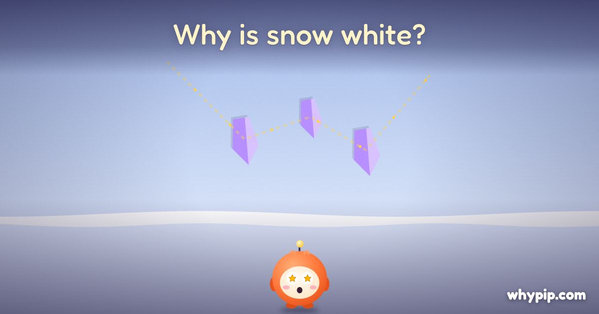 Pip’s picture for “Why is snow white?”